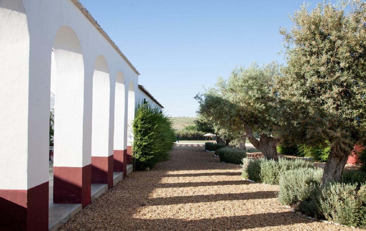 B&B Quinta da Chaminé Ferreira Do Alentejo Extérieur photo